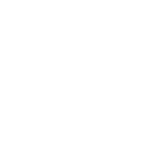 hugeicons_video-01